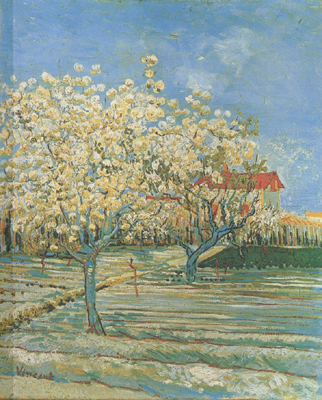 Vincent Van Gogh Orchard in Blossom (nn04)